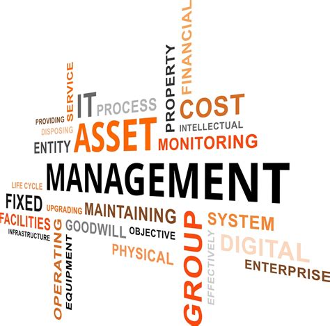asset management definition